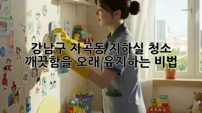 강남구 자곡동 지하실 청소: 깨끗함을 오래 유지하는 비법
