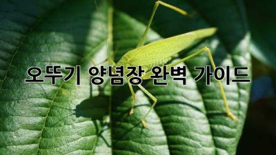 오뚜기 양념장: 완벽 가이드